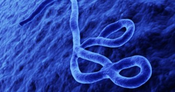 Paper test strip device developed for rapid Ebola diagnosis Ebola_Featured