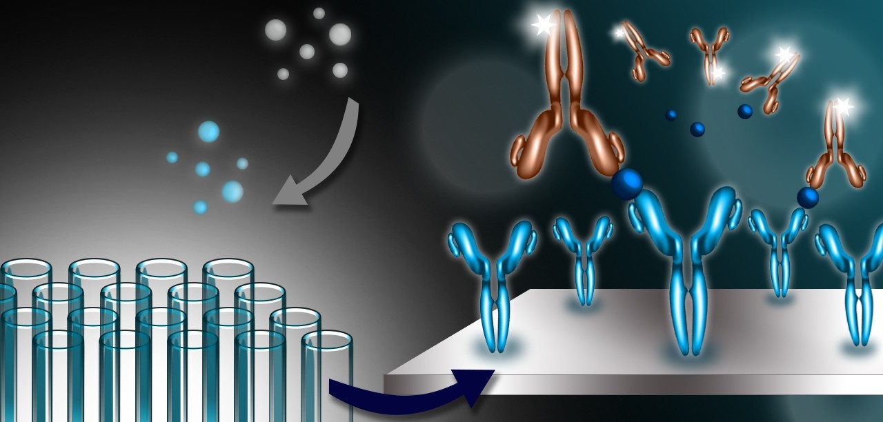 ELISA microplate: a viable immunocapture platform over 