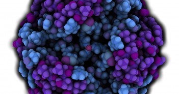Hot topics in large molecule bioanalysis Macro_Featured