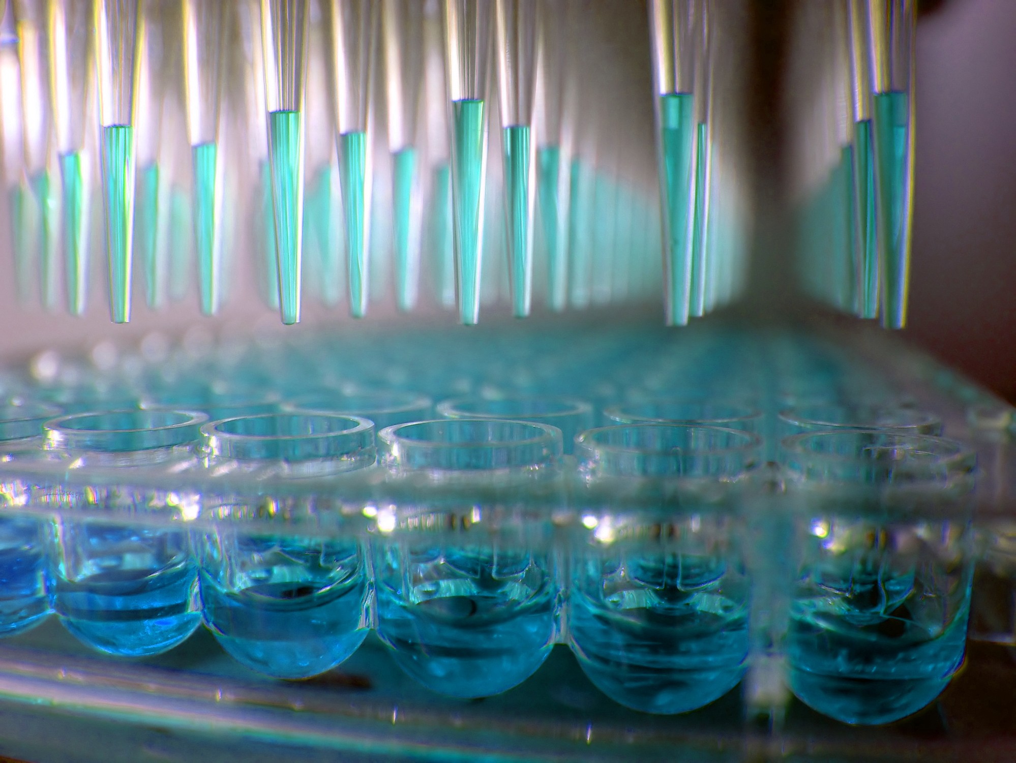 How analogous can solidphase extraction and analytical liquid chromatography be? Bioanalysis Zone