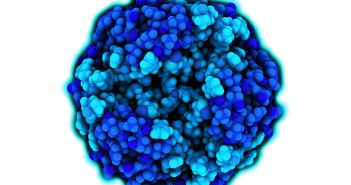 Large molecule analysis by LC-MS Large molecule analysis by LC-MS feature image