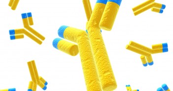 Nanotechnology used to improve biosensors for E. coli detection yellow antibodies