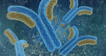 Evaluating the immunogenicity of antibody–drug conjugates antibodies