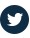 twitter-logo-icon
