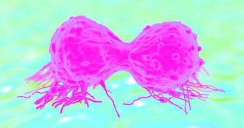 Portable smartphone test may be able to identify cancer biomarker cancer-cells-dividing-149771519-cmyk
