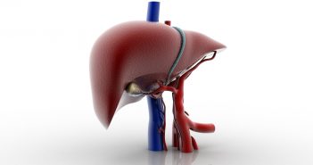 Definitive profiling of plasma bile acids as potential biomarkers for human liver diseases using UPLC–HRMS liver-85601176