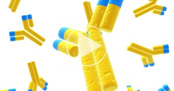 Considerations for Ligand Binding Assay Platforms: how to choose the right platform to meet your drug development needs Feature-EF-webinar