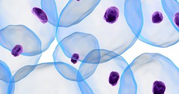 Cell therapy: an interview with David Harris 3D-cells-purple_RGB