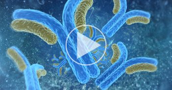 Bioanalysis and toxicology challenges with ADC: how are they different and new? Feature-BZ-webinar-play