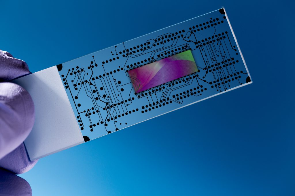 Bioanalysis for monitoring the organonachip systems Bioanalysis Zone