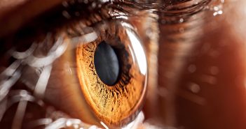 HPLC–MS/MS-based analysis of everolimus in rabbit aqueous humor: pharmacokinetics of in situ gel eye drops of suspension brown-eye