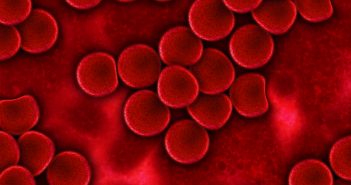 Raman spectroscopy to help predict age of bloodstains at crime scenes for up to 2 years blood-75302