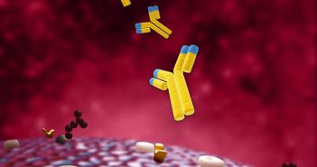 Expert Series: ADC development: keys to rapid IND submission & approval IMT - monoclonal antibody.jpg