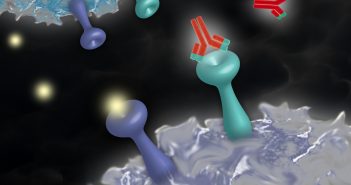 2019 White Paper on recent issues in bioanalysis: Part 3 – FDA immunogenicity guidance, gene therapy, critical reagents, biomarkers and flow cytometry validation biomarker assays-t-cell-antibody