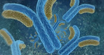 Immunogenicity antibodies-702x336