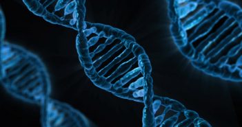 Beyond aptamers: selection of functional oligonucleotide, characterization, chemical synthesis and biotechnological application dna-163466