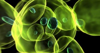 Electron paramagnetic resonance determines in-cell distances 3d cells green