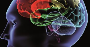 Flotillin: a novel biomarker for Alzheimer’s disease? biomarker-alzheimers-brain