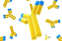 yellow antibodies