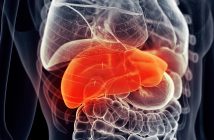 Quantification of serum purine metabolites for distinguishing patients with hepatitis B from hepatocellular carcinoma internal-organs-liver-highlighted