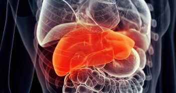 Quantification of serum purine metabolites for distinguishing patients with hepatitis B from hepatocellular carcinoma internal-organs-liver-highlighted