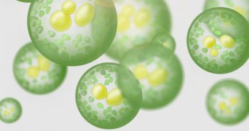 Bioanalysis of liposomal drugs by LC-MS/MS Lipidomics