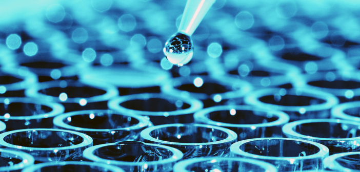 Development And Validation Of An Elisa To Study Panitumumab Pharmacokinetics Bioanalysis Zone