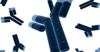 Clinical relevance of immunogenicity: an interview with Arno Kromminga immunology