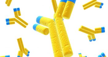 New technologies and new methods for enhanced biomacromolecule separations yellow antibodies