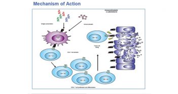 Flow cytometric immunophenotyping of PBMCs and quantification of cytokine production from patients in a peptide vaccine study Image for BZ