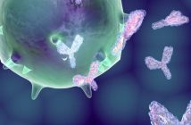 immunogenicity 2