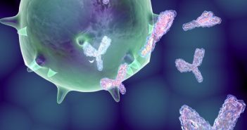 2018 White Paper on Recent Issues in Bioanalysis: focus on immunogenicity assays by hybrid LBA/LCMS and regulatory feedback (Part 2 – PK, PD & ADA assays by hybrid LBA/LCMS & regulatory agencies’ inputs on bioanalysis, biomarkers and immunogenicity) immunogenicity 2