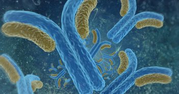 Immunogenicity methods and strategies: an interview with Alex Hawes FEATURE_Bioagilytix_nov_2018