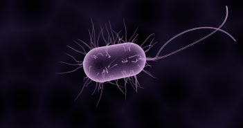 New biosensor device developed for diagnosis of bacterial infections bacteria-1832824_1280