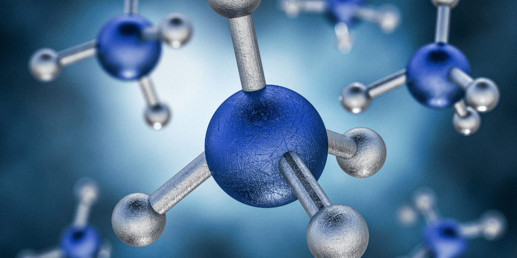 Biomarker discovery, development and assay validation