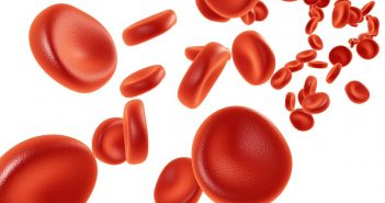 Robust Ki67 detection in human blood by flow cytometry for clinical studies red blood cells