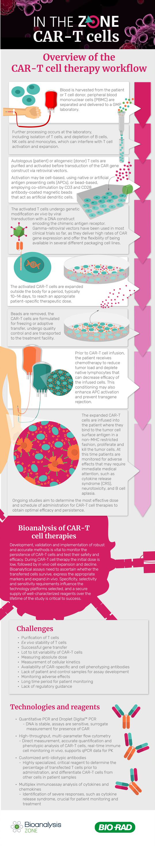 CAR-T infographic (3)