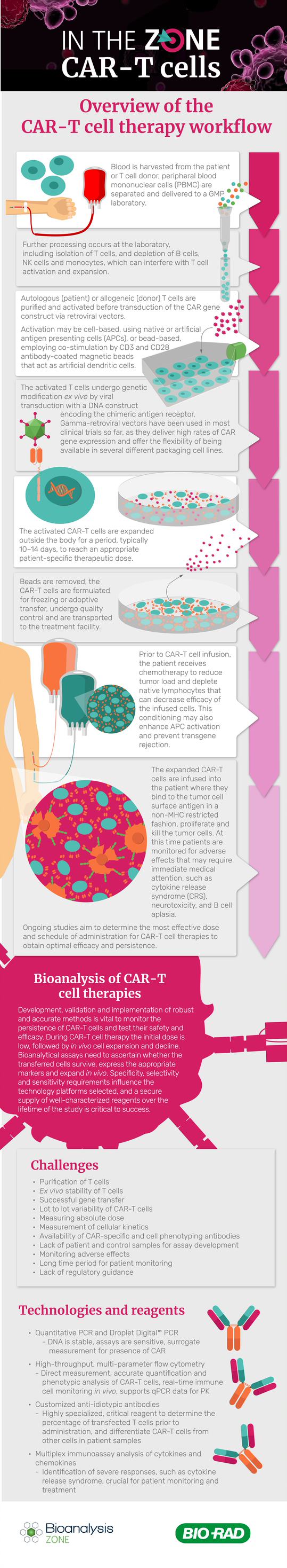 is liver cancer fast or slow growing