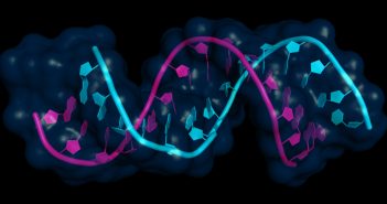 Webinar Q&A follow up – Oligonucleotide Quantitation and Characterization by High Resolution LC–MS Sciex