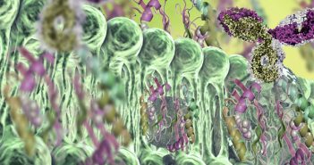 Panel discussion: considerations and challenges of ligand binding assays Feature-LBA-panel-September-2019