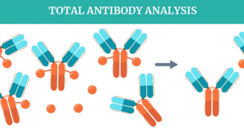Bioanalytical strategies for PK analysis of antibody–drug conjugate therapeutics using LC–HRMS & LC–MS/MS Antibody-drug