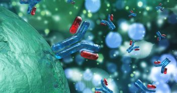 Mitigating target interference in bridging immunogenicity assay with target-blocking reagents and mild basic pH ADA-assay-antibodies