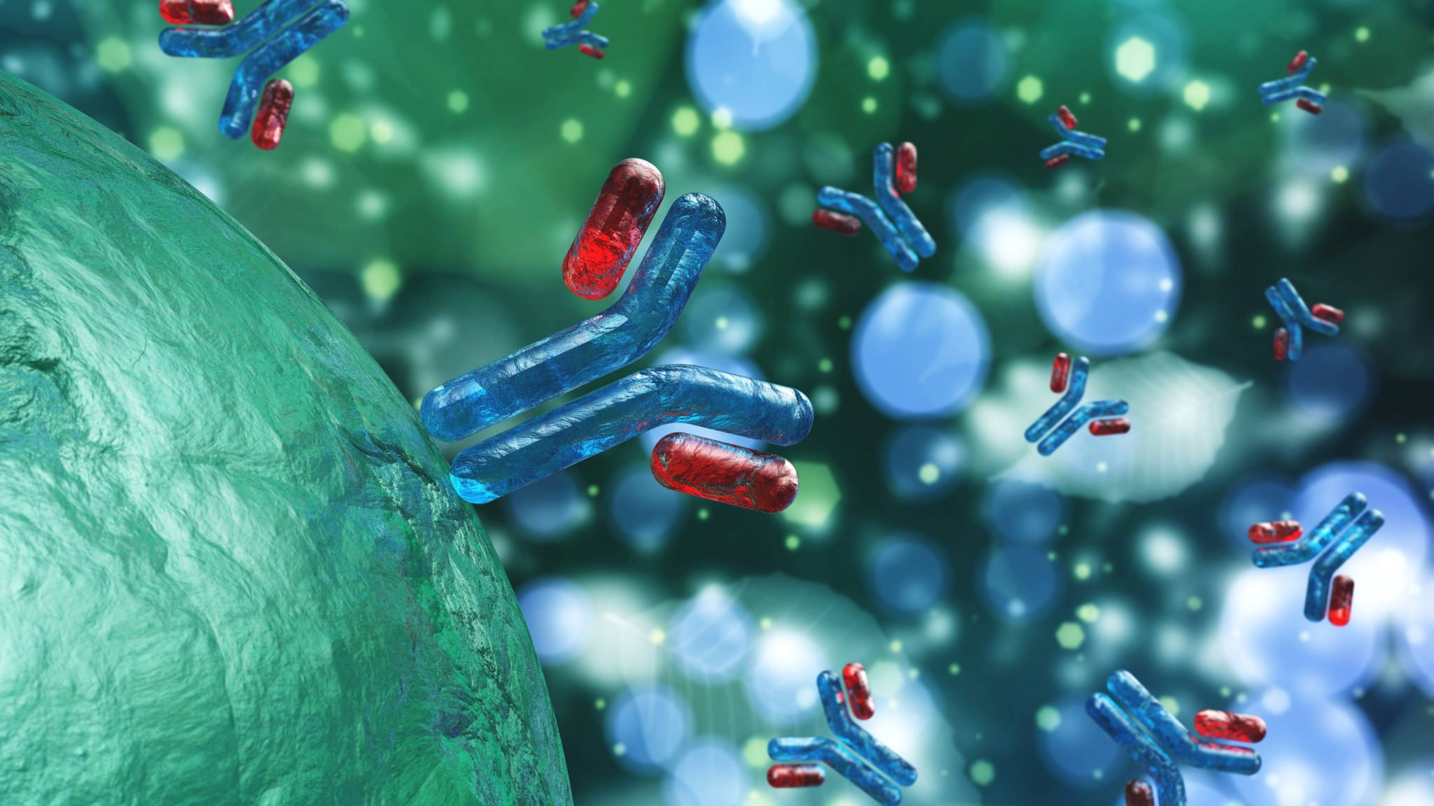 ADA-assay-antibodies