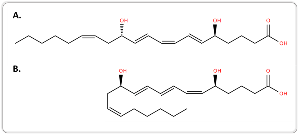 2d-structures-of-5S,12S-DiHETE-LTB4