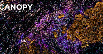 ChipCytometry: high-plex proteomics in tissue samples Feature-Canopy-March-2020
