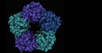 Biomarker bioanalysis support to drug development and personalized medicine WP_Frontage_May_2020