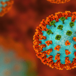 coronavirus 2