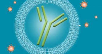 Generic PK methods for the quantification of mAbs using Gyrolab® and LC–MS/MS zap_gyros_July_2020