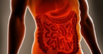 Bacterial enzyme could be used as biomarker for intestinal diseases for bz correct