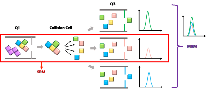 Learn with Lin about LC–MS bioanalysis: part III tune the triple ...